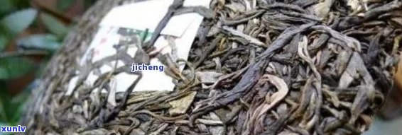 新 普洱茶包装惊现塑料绳，消费者安全受