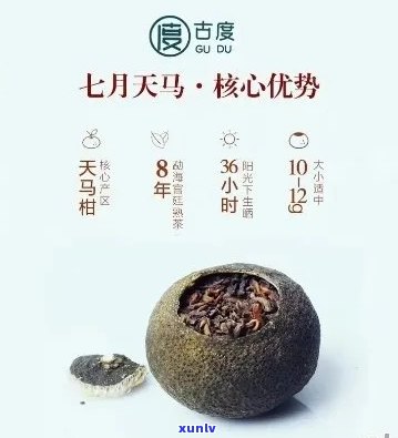 古度天马一号小青柑陈皮普洱：品种、 *** 工艺、口感特点及价格全面解析