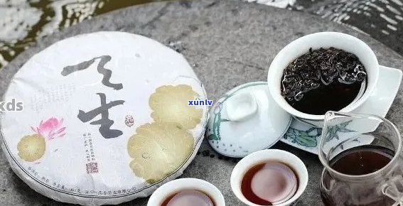 探索普洱茶饼的完美冲泡 *** ：一款值得珍藏的独特茶饮体验