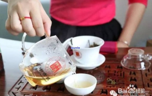 怎么泡好一壶普洱茶