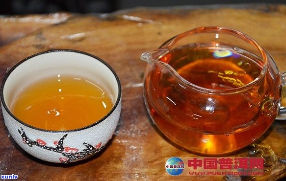 怎么泡好一壶普洱茶