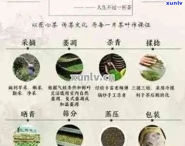 全面了解普洱茶价值：七十年陈年的普洱茶价格分析与品鉴指南