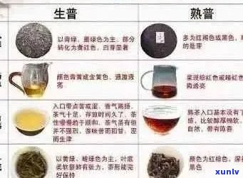 三高人群是否可以饮用普洱茶？普洱茶的适用范围与禁忌总结