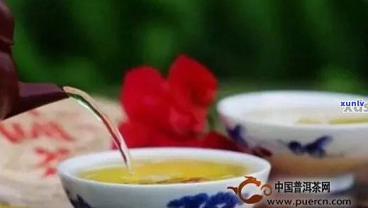 六个关键环节，让您品鉴普洱茶的极致韵味