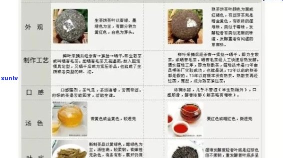 普洱茶小白菜价格区间、品质等级及购买渠道全面解析，一文看懂！