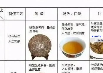 普洱茶小白菜价格区间、品质等级及购买渠道全面解析，一文看懂！