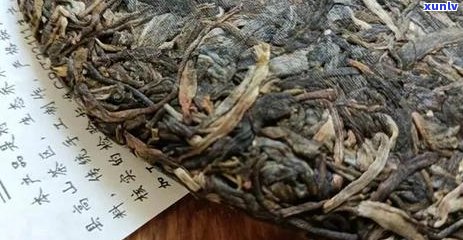 今大福普洱茶官网价格行情及品质解析