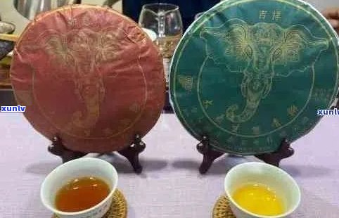 大福普洱茶：名存实亡的炒作还是真正的品茗之道？