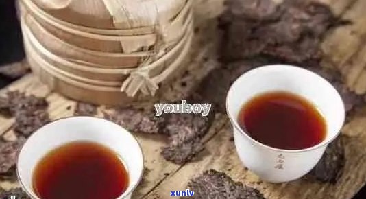 普洱茶用茶袋装好吗？能放多久？怎么保存？怎么泡？