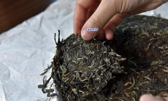 普洱茶用茶袋装好吗？能放多久？怎么保存？怎么泡？