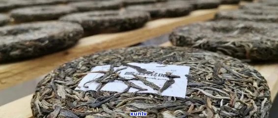 新探索普洱茶的魅力：一提普洱茶包含多少饼？揭示其独特的品质与价值