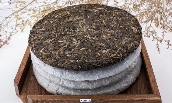 新探索普洱茶的魅力：一提普洱茶包含多少饼？揭示其独特的品质与价值