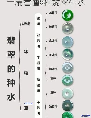 肖邦手镯翡翠知识大全：材质、介绍与讲解