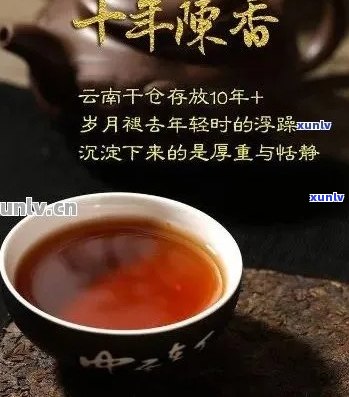 十一年的普洱熟茶价格：探究市场与品饮