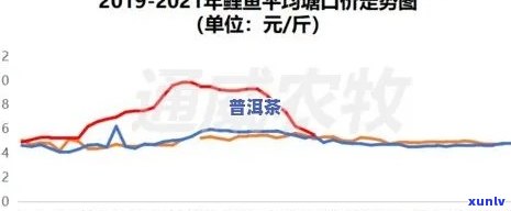 2023年十一年普洱茶饼市场行情分析及价格走势预测