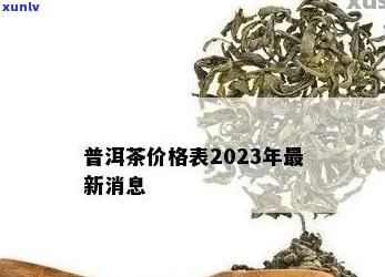 2023年十一年普洱茶饼市场行情分析及价格走势预测