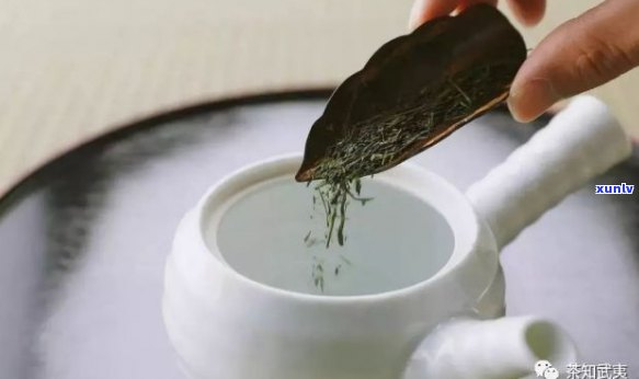 普洱茶杀青揉拧后可以一起冲泡喝吗？如何正确饮用普洱茶？