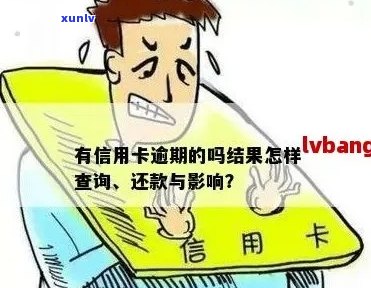 信用卡逾期查询：银行是否能追踪您的债务状况？