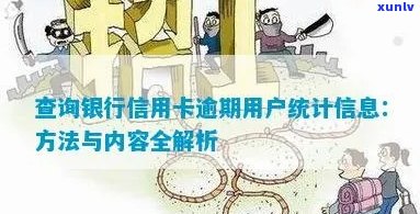 信用卡逾期情况如何查询？银行可以提供哪些服务和信息？