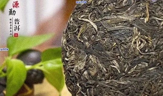 祺丰源官网：介绍优质茶叶公司及其普洱茶产品