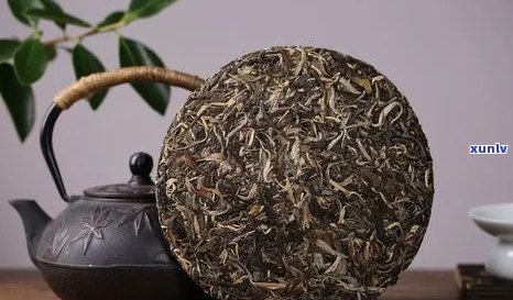 祺丰源官网：介绍优质茶叶公司及其普洱茶产品