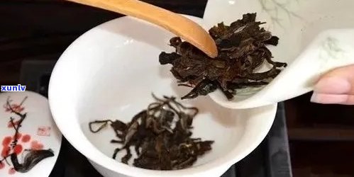 普洱茶冲泡：一次需要多少茶叶？如何控制茶叶的用量？