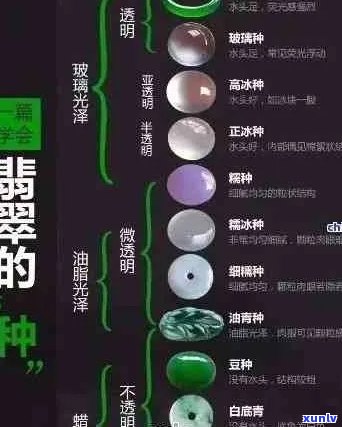 新翡翠投资的保值与增值关键因素：市场稀有性、颜色纯净度和质地评价