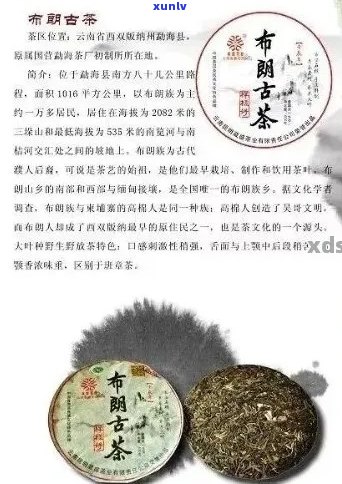 普洱茶七大历典故：名字、故事与传说