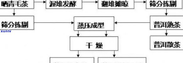 普洱茶的历、文化、 *** 工艺及品饮 *** ：一个全面的探索