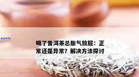 喝普洱茶放的屁好臭