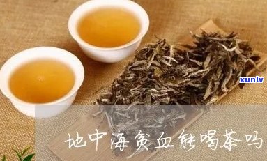 地中海贫血喝普洱茶