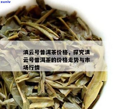 滇云号普洱茶价格：云滇藏号普洱茶多少钱？