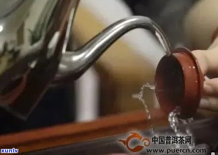 周盘壶可泡普洱茶吗？是否有？