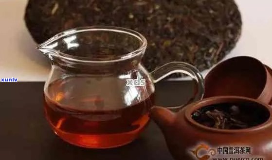 周盘壶可泡普洱茶吗？是否有？