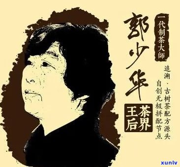 '少华普洱茶人介绍——简历与经历'