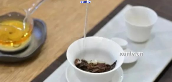 一次冲泡，品味红茶普洱的醇厚与陈香