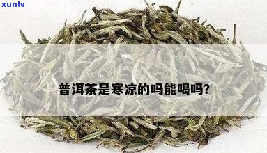 凉的普洱茶可以喝吗-凉的普洱茶可以喝吗?