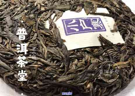 老谈茶第二十九期：探索普洱茶的魅力与误区