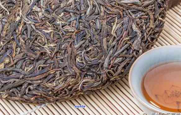 9年的普洱茶还能喝吗？普洱茶十几年、十年、19年了还能喝吗？