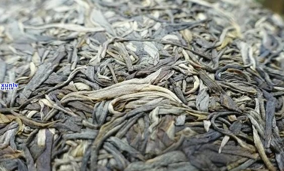 大益普洱茶各类型对比：生茶、熟茶与散茶之间的区别