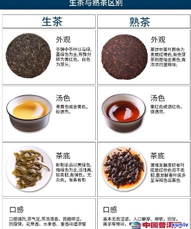 大益普洱茶各类型对比：生茶、熟茶与散茶之间的区别