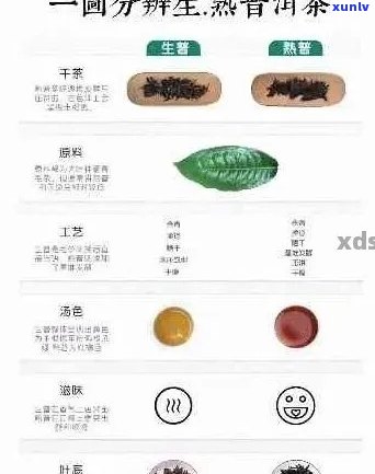 大益普洱茶各类型对比：生茶、熟茶与散茶之间的区别