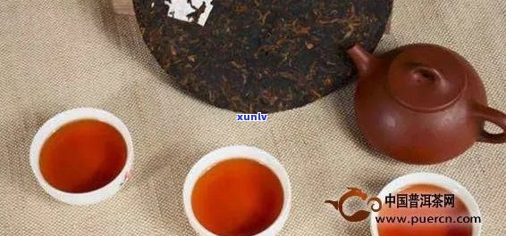 大益普洱茶各类型对比：生茶、熟茶与散茶之间的区别