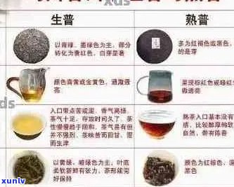 全面解析：普洱茶哪种品种更优质？如何挑选与品鉴？