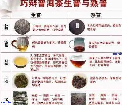 普洱茶品种大全：哪个品种的普洱茶口感？如何选择适合自己的普洱茶？