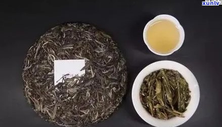 哪一款普洱茶的性价比更高？全面对比分析，让你轻松找到理想选择