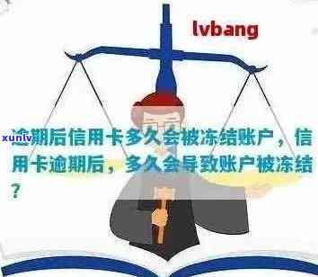 由于信用卡逾期，账户被冻结：如何解决问题？