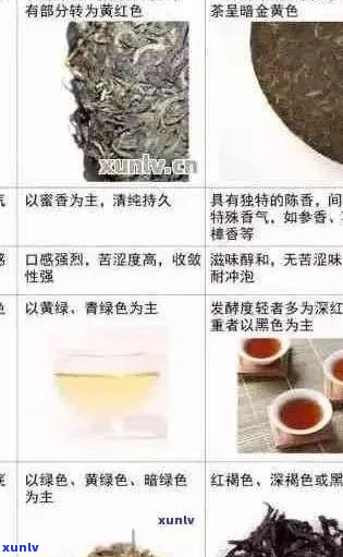 普洱茶叶：品种、大小、功效与泡法一应俱全的全面指南