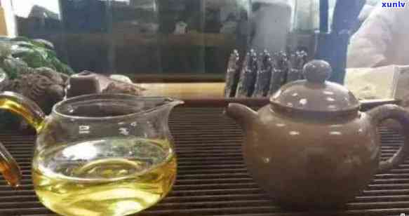 保杯可泡普洱茶吗