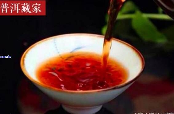 满江红普洱茶多少钱